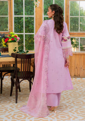 Lawn Collection - Mahnur -  Bella Lawn 24 - MB#05