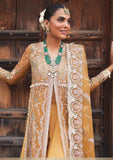 Formal Collection - Afrozeh - Dastangoi - Wedding - Shafaq - D#09