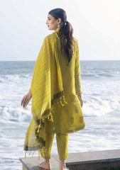 Lawn Collection - Gul Ahmed - Pre Fall - MJ-32043