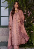 Winter Collection - Rang Rasiya - Premium Edit 24 - RRP#11 - Chai