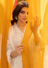 Lawn - Riaz Arts - Mahees Maira - RAMM24# D02