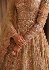 Formal Collection - Akbar Aslam - Deewani - AAD24#1554 - Vespera