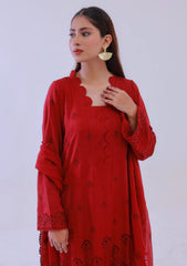 Winter Collection - Almish - Unstitched 24 - D#582 - Dusk