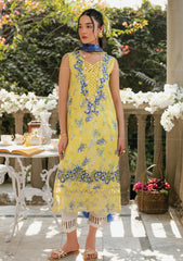 Lawn - Asifa & Nabeel - Gulkari 25 - GKL-15 - Sunlit Breeze