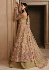 Formal Collection - Akbar Aslam - Deewani - AAD24#1554 - Vespera