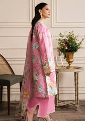 Lawn Collection - Rang Rasiya - Lifestyle - RL24#12 - Ekin