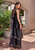 Formal Collection - Humdum - Pareesha - Chiffon - PC#01