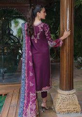 Winter Collection - Qalamkar - Serene - D#07