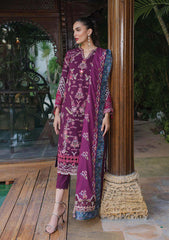 Winter Collection - Qalamkar - Serene - D#07