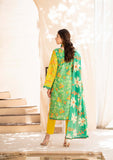 Lawn Collection - Paltar - Surmai - SAHIL - D#8