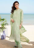 Lawn Collection - Sahar - Unstitched - Festive Volume II - S24-FE-V2-01