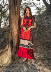 Lawn Collection - Paltar - Naqsh - AARZOO