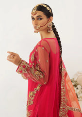 Formal Collection - Mashq - Raj Kumari - QFD#0059