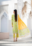 Lawn Collection - Paltar - Parvaaz - D/Printed - PF#42310