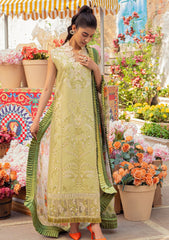 Lawn Collection - Mushq - Hemline - Tesoro - HML#7 A