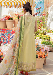 Lawn Collection - Mushq - Hemline - Tesoro - HML#7 A