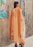 Lawn Collection - Mushq - Hemline - Tesoro - HML#7 B