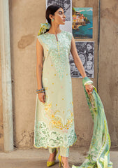 Lawn Collection - Mushq - Hemline - Tesoro - HML#4 B