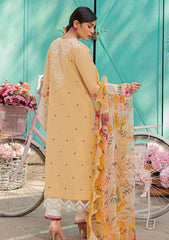 Lawn Collection - Mushq - Hemline - Tesoro - HML#6 B