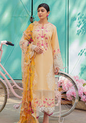 Lawn Collection - Mushq - Hemline - Tesoro - HML#6 B