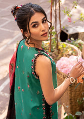 Lawn Collection - Mushq - Hemline - Tesoro - HML#1 B