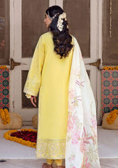 Lawn Collection - Ayzel  - Raqs Festive - AR#4 | Shafaq