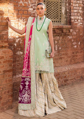 Lawn Collection - Maryum N Maria - Rang Manch - MLFD#83