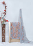 Fancy Collection - Net Gota Work 2pcs - D#1 (Grey-6) Saleem Fabrics Traditions
