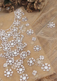 Fancy Collection - Net Gota Work Mirror 2pcs - D#2 (Golden-3) Saleem Fabrics Traditions