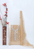 Fancy Collection - Net Gota Work Mirror 2pcs - D#2 (Golden-9) Saleem Fabrics Traditions