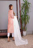 Fancy Collection - Paper Cotton -  Ariwork - 2 Pcs Suit - Peach - D07 Saleem Fabrics Traditions