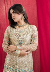 Formal Collection - Rubaaiyat - Embroidered Net - REN#5 available at Saleem Fabrics Traditions