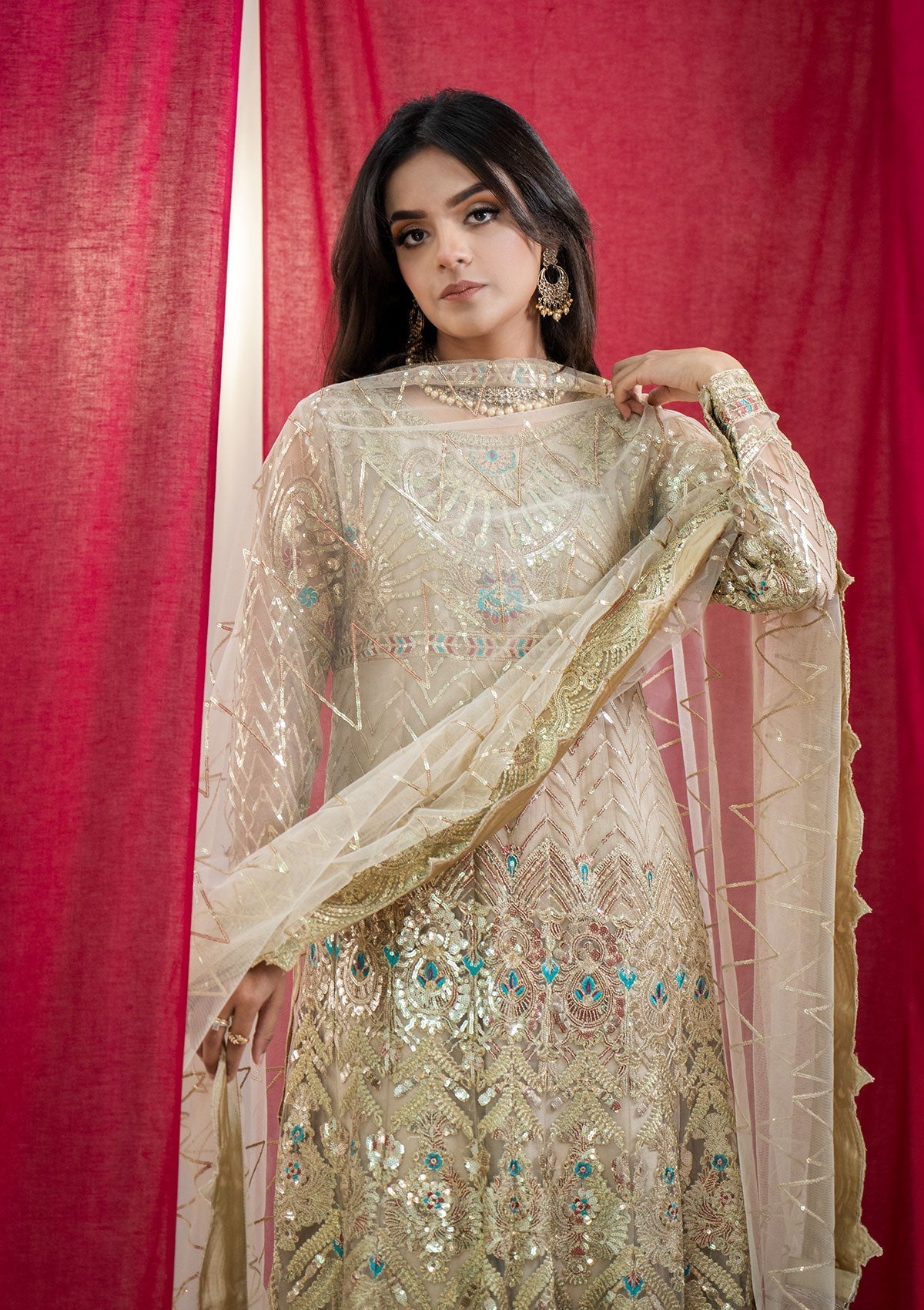 Formal Collection - Rubaaiyat - Embroidered Net - REN#5 available at Saleem Fabrics Traditions