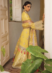 Formal Dress - Anaya - Anahita - Alara - AKW#4 available at Saleem Fabrics Traditions