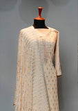Formal Dress - Fancy Chiffon Emb - 2 Pcs - D#104016 (Peach) available at Saleem Fabrics Traditions