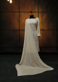 Formal Dress - Fancy Chiffon Emb - 2 Pcs - D#104276 (Skin) available at Saleem Fabrics Traditions