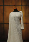 Formal Dress - Fancy Chiffon Emb - 2 Pcs - D#104276 (Skin) available at Saleem Fabrics Traditions