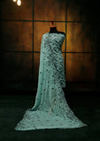 Formal Dress - Fancy Chiffon Emb - 2 Pcs - D#104393 (L Green) available at Saleem Fabrics Traditions