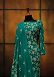 Formal Dress - Fancy Chiffon Emb - 2 Pcs - D#104485 (DS Green) available at Saleem Fabrics Traditions