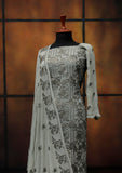 Formal Dress - Fancy Chiffon Emb - 2 Pcs - D#104490 (Mouse) available at Saleem Fabrics Traditions