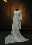 Formal Dress - Fancy Chiffon Emb - 2 Pcs - D#104492 (L Mouse) available at Saleem Fabrics Traditions