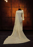 Formal Dress - Fancy Chiffon Emb - 2 Pcs - D#104517 (Golden) available at Saleem Fabrics Traditions