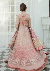 Formal Dress - Inayat -  Luxury Wedding - Zaina - D#4 available at Saleem Fabrics Traditions