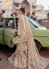 Formal Dress - Mohsin Naveed Ranjha - Zarlish - D#12 available at Saleem Fabrics Traditions