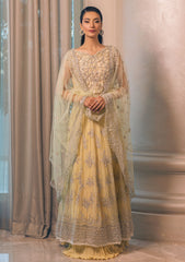 Formal Dress - Mushq - Monsoon Wedding - MSQ#7 available at Saleem Fabrics Traditions