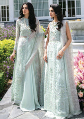 Formal Dress - Mushq - Trousseau De Luxe - TDL#2 available at Saleem Fabrics Traditions