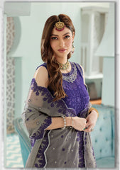 Formal Dress - Noor - Saadia Asad - Chiffon Laserkari - D#4 available at Saleem Fabrics Traditions