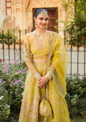 Formal Dress - Vitalia - Trousseau - Chartreuse - D#4 available at Saleem Fabrics Traditions