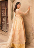 Formal Dress - Vitalia - Trousseau - Hazel - D#7 available at Saleem Fabrics Traditions