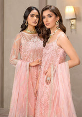 Formal Dress - Zarif - Falak - Festive - ZF#04 (Haven) available at Saleem Fabrics Traditions